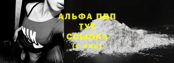 дмт Ладушкин