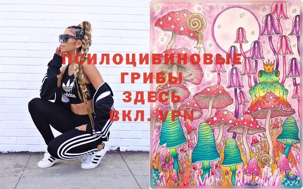 дмт Ладушкин